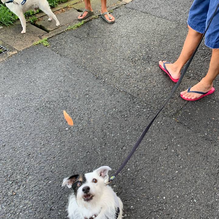 399f973e 9c3d 4458 8f67 4c8d7051cdd8 1691535418267