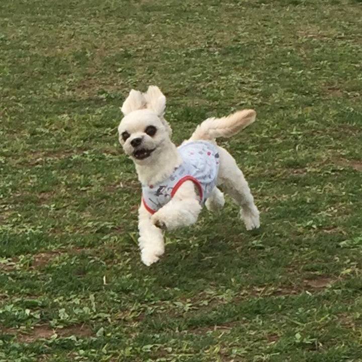 399fb834 f468 448d bcd5 8653bb95ff10 1521358767495