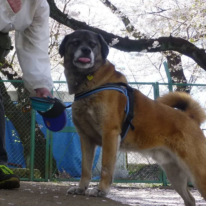 399fbb28 9a0a 48e7 b194 f25ce569bd89 1579605392983