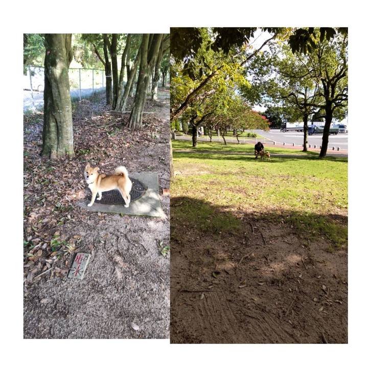 399fcff1 d4d4 4efc b493 69a81803b002 1662721824131