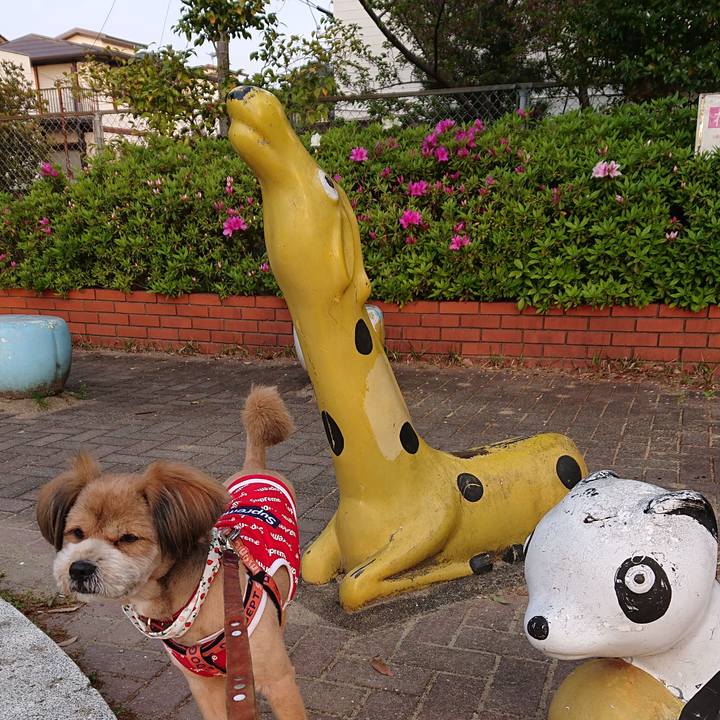 399ff6f4 3d0b 4129 9f30 1695f7ebfe37 1555365432830