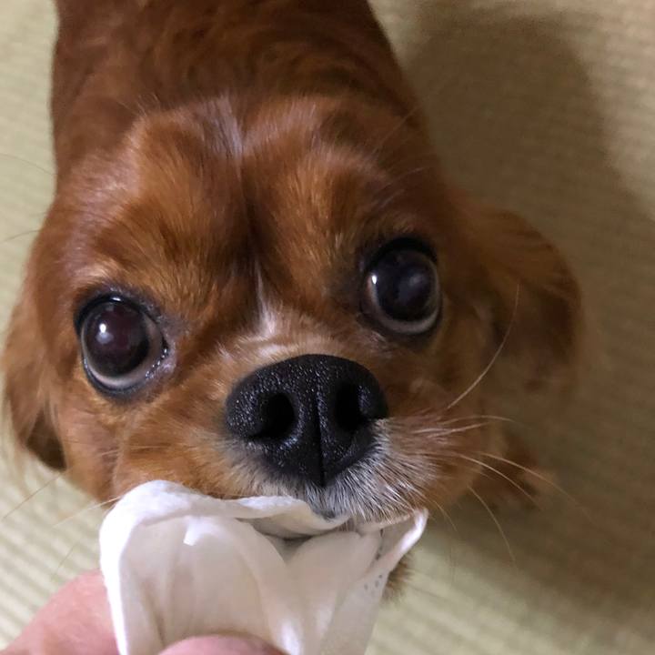 39a040d1 87b1 4c34 b6e7 dc2c208ce312 1574828100061