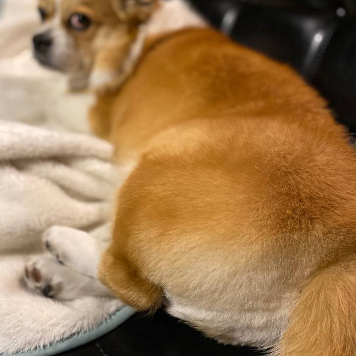 39a0439a 5af1 4cbb 9dbd 39838d8ae077 1742910279983