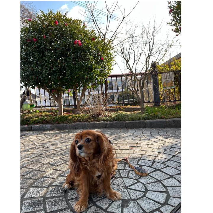 39a04924 ac24 4e84 838b a8c8134c299c 1677505421822