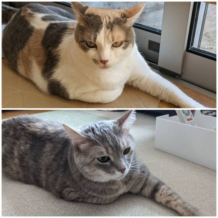 39a079f5 40e2 41ac ab6a 064087a16e20 1699846482682