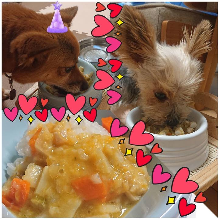 39a095b0 bb35 42cb 8304 a6d0783df47b 1570229413617