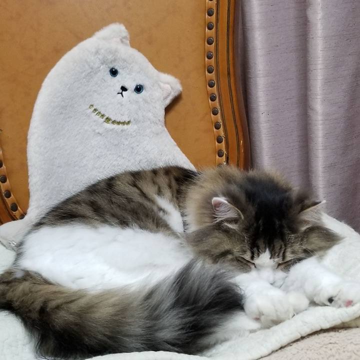 39a09bec 5469 40b7 9562 cf2f7f55862c 1582115272957