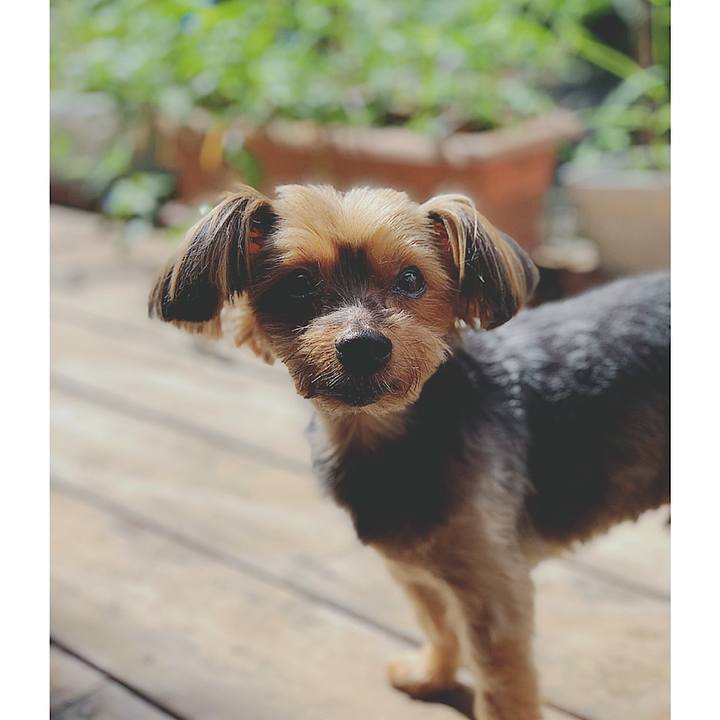 39a0bd8e 98d5 45a0 aa29 5b8f99852a17 1625873287041