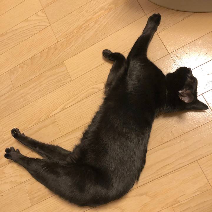 39a0c53d ea3e 4e85 bad7 8216ff86a6e5 1546006590075