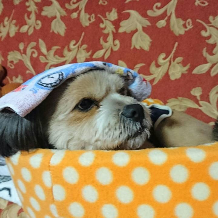 39a0ee00 41f5 488a 8502 c02458a6abf7 1519555041285