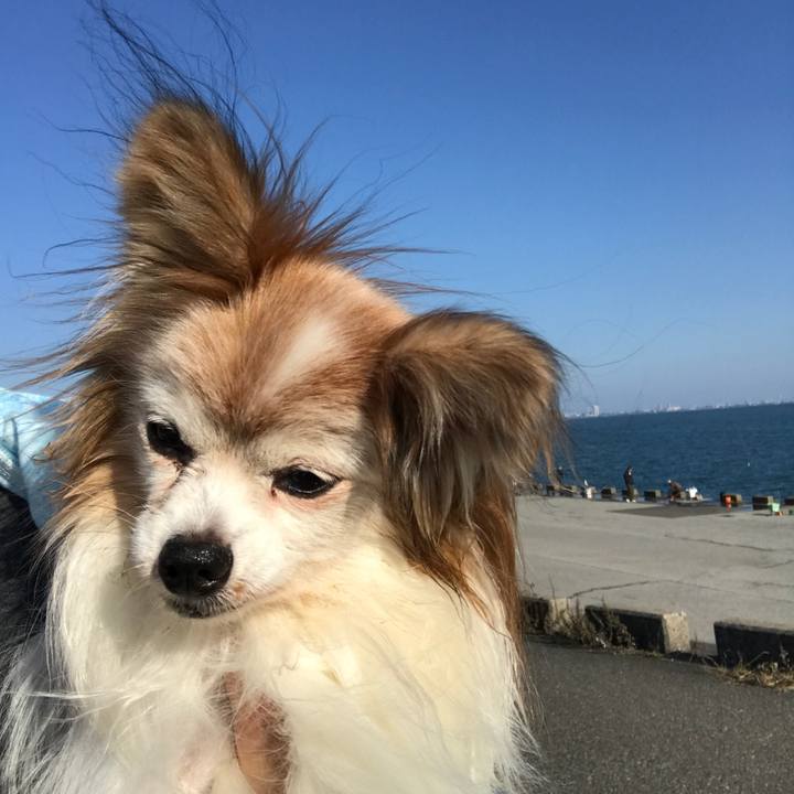 39a0ff4e b1cc 4a6c 858d d7db5db0d194 1508997560217