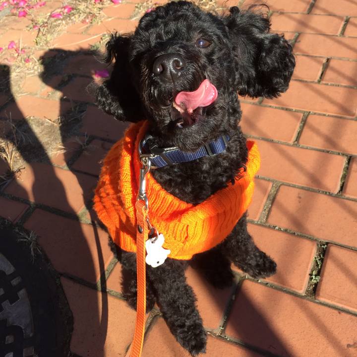 39a13489 1100 45f0 92db 711deb9ce565 1513484802878