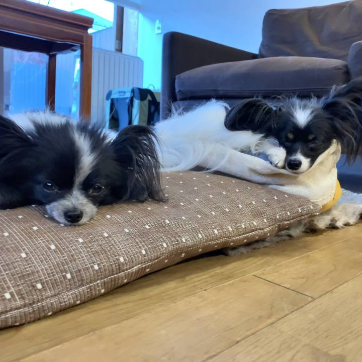 39a161fb 31ab 4748 9705 9e235b3a4406 1547589679172