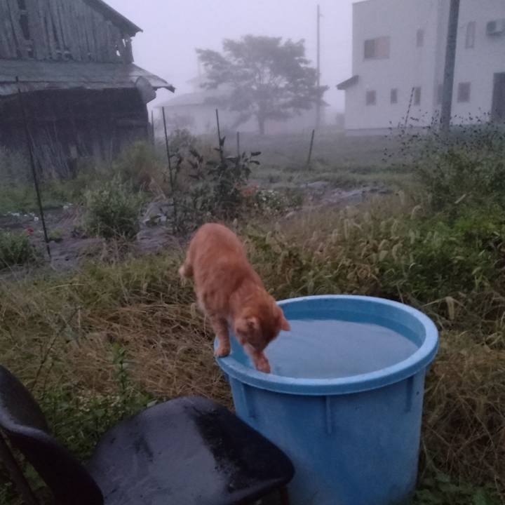 39a16c48 97b2 4d7d 8e86 126dbdf2cef0 1665005391914