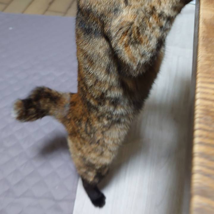 39a197d9 aa4c 4f44 862e ecdffad735cf 1739835897580