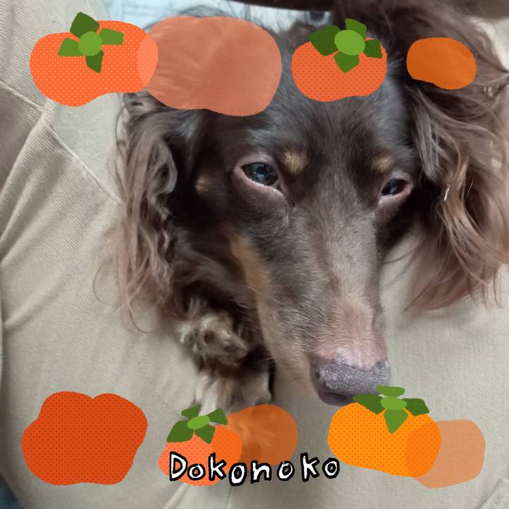 39a19f3f 2fb5 4dc5 968a d138ca492681 1761169378873