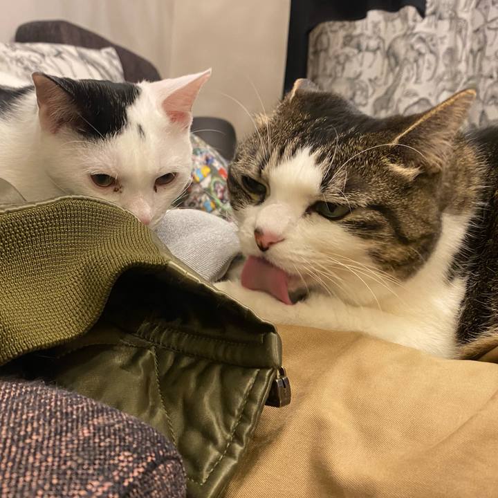 39a1ad3d 035f 4854 84d0 3d3b47ea8d69 1673347863001