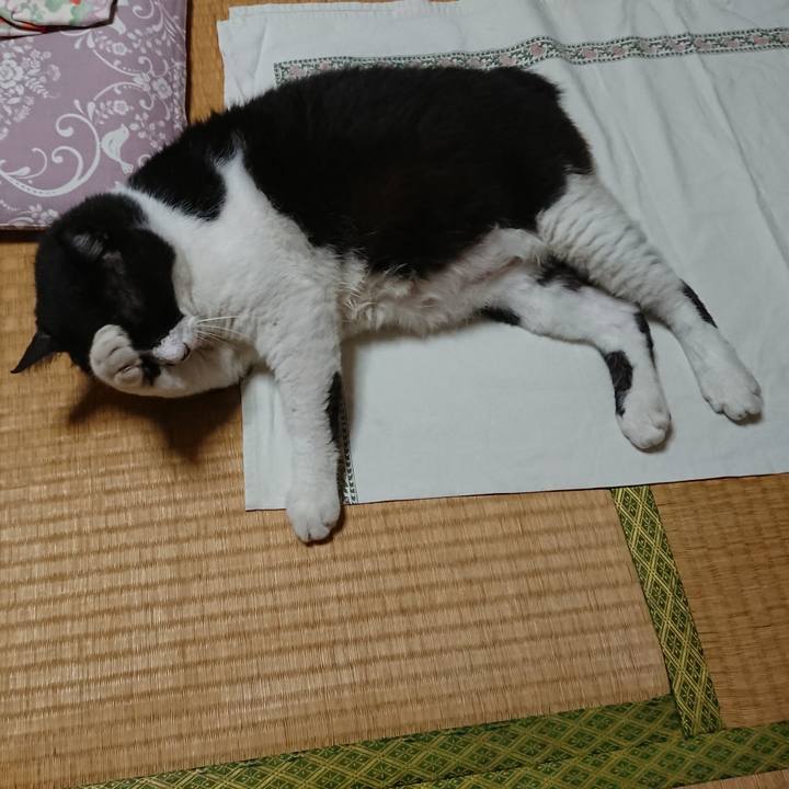 39a1be15 9f7d 494b 81b8 f8b5743d3995 1566423483932