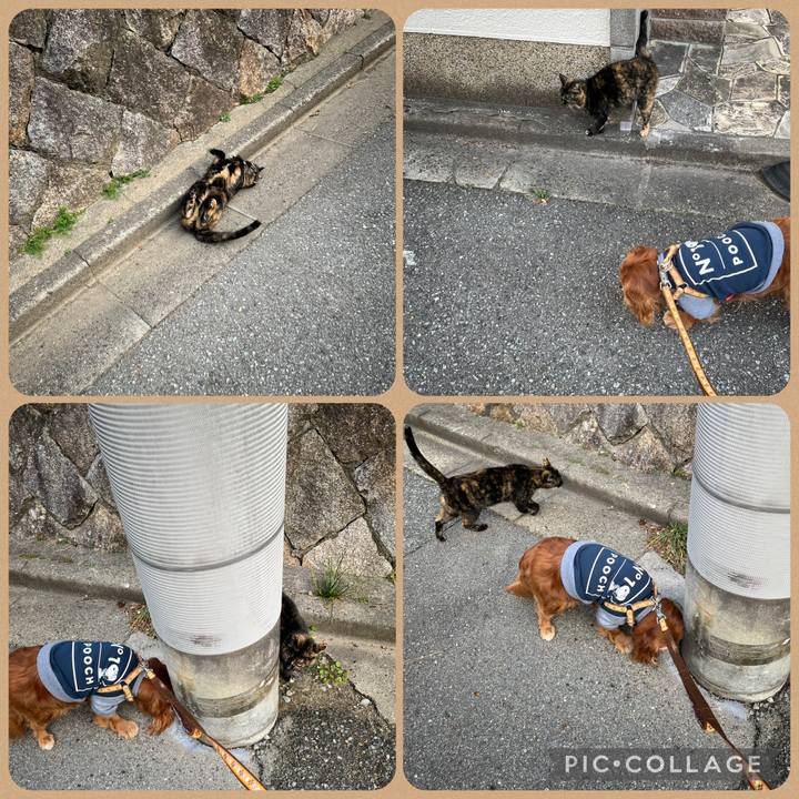 39a1cd53 755a 433f 91f5 7f5fd6b6ce85 1771211258399