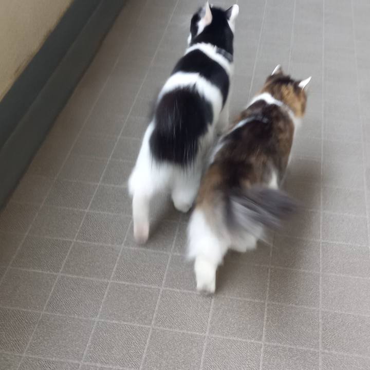 39a1dc50 fc4b 43a0 b1fc b731e225dc84 1670201599487