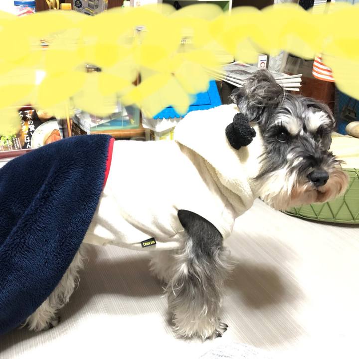 39a1efb0 a87f 4621 b156 e66593731437 1578973461180