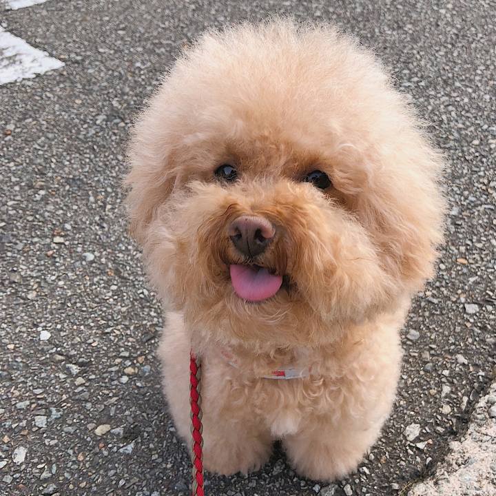 39a21c34 5cae 4bd3 b4a0 5a98e049760e 1529894293321