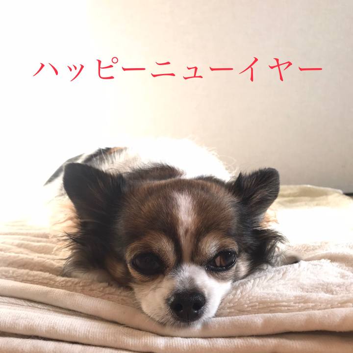 39a281c2 1369 4f10 bf70 b7750909e24e 1672638586934