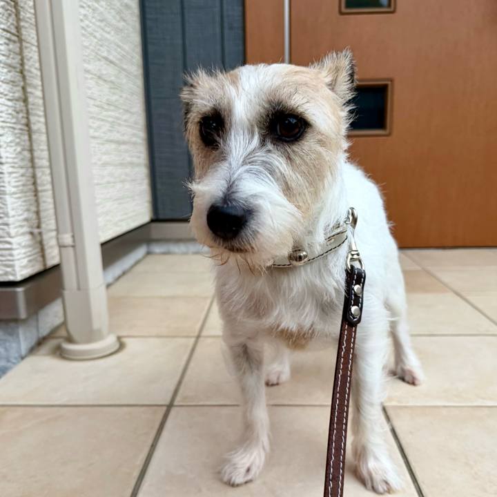 39a289d3 800a 4ef9 981d 3d6bda44ae7f 1762665667909