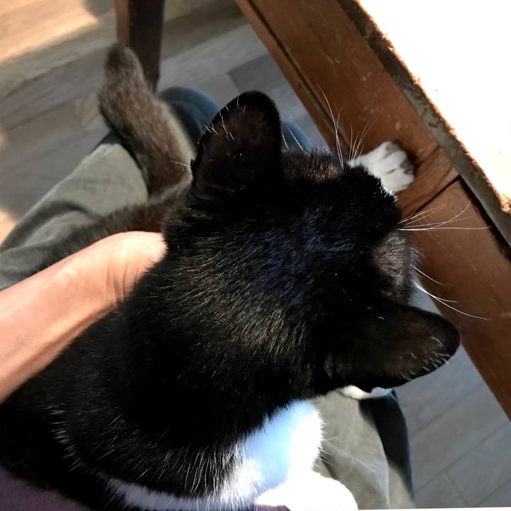 39a28b50 fa17 4604 8c6e c722b4623229 1529634890639