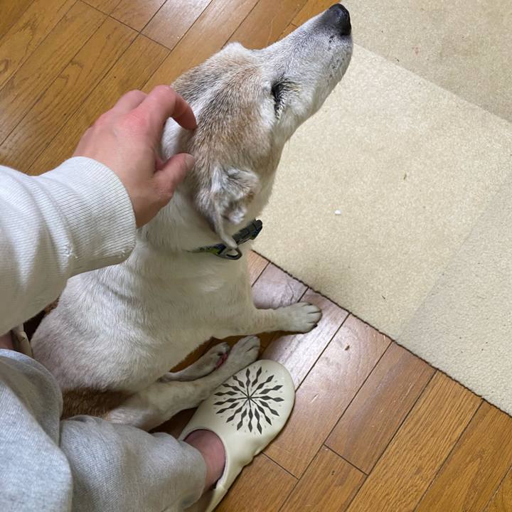 39a2dba5 06e6 42fe a4ca fba58be2af99 1712612256378