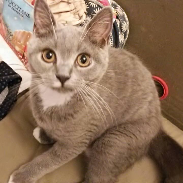 39a2f322 0978 4a4c 995a 80e7548089ca 1535582603400