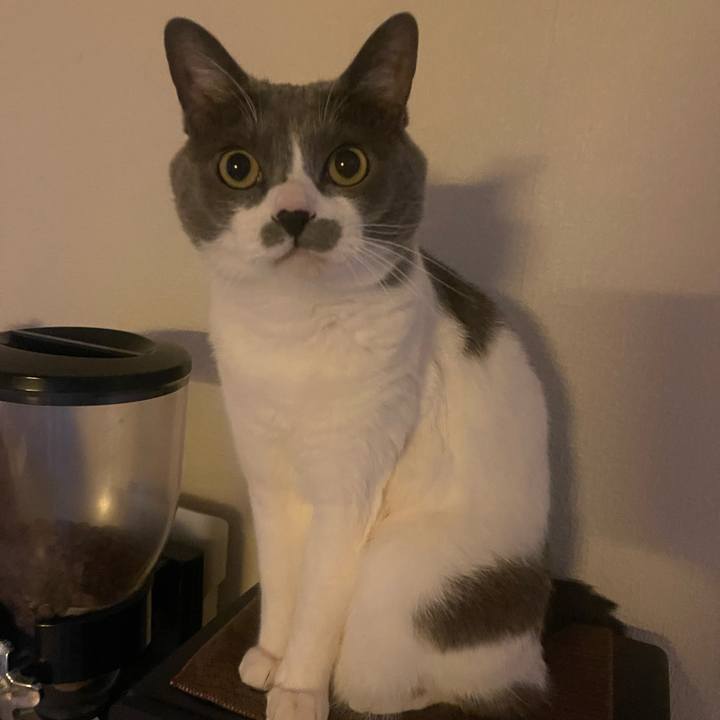 39a2f328 6345 43da a03b c18bfce47311 1737332408229