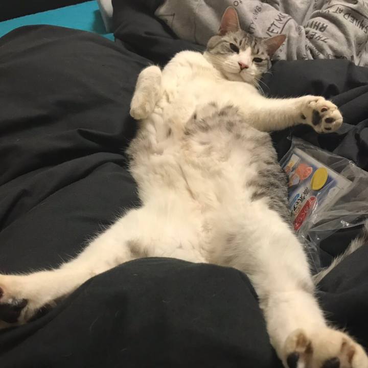 39a318db c415 480d 82f1 bf4f1832ff10 1545732251093