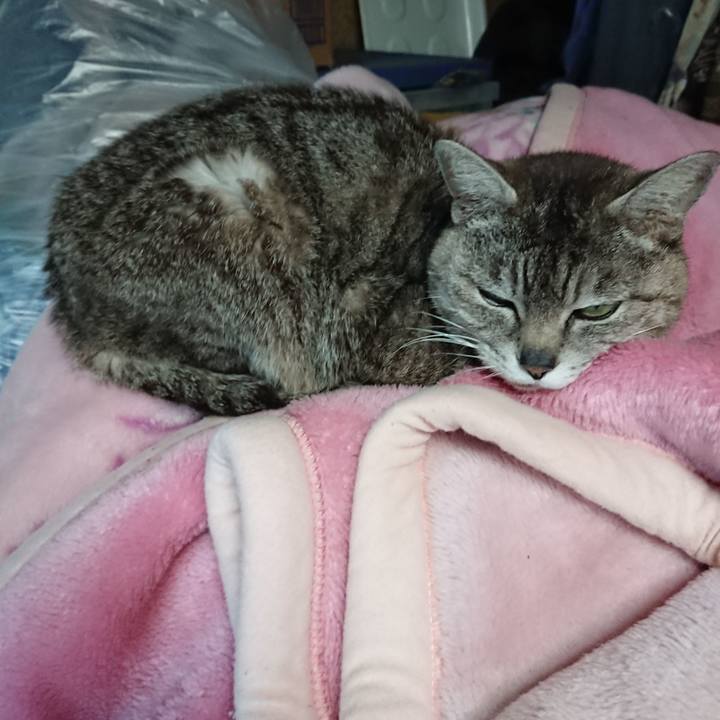 39a340e3 f2c4 4aff 936d 336150d959bd 1560418838121