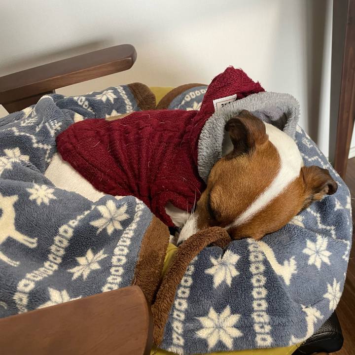 39a344db 6d94 4e0a a1aa b0090a1458ac 1642465759126