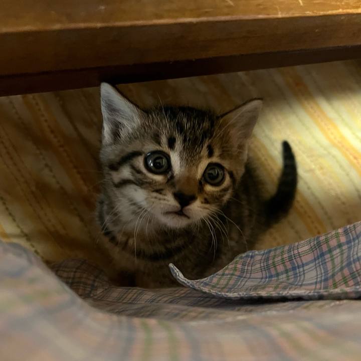 39a36824 7fcb 4483 9ce1 49b5ac8328b6 1749890108394