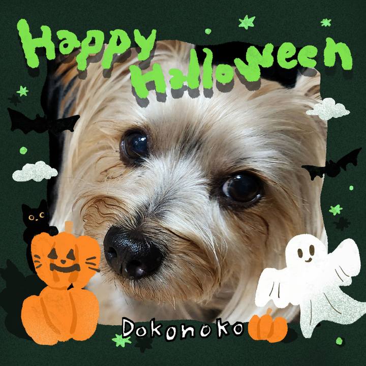 39a39e29 a868 45f5 a801 228e93a65900 1730331156110