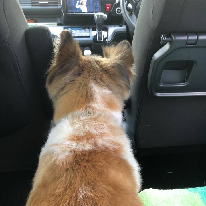 39a3b329 3a31 4cba b112 0c85680643c8 1534574925194