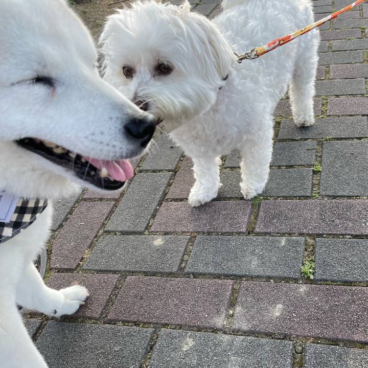 39a3f63e 3f1e 4aaa b295 81693f2b37d4 1654213207017