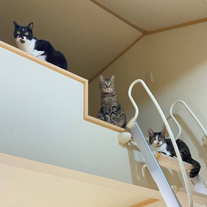 39a3fb9f be9a 452c bd40 92e7fe7be1c6 1696990137514