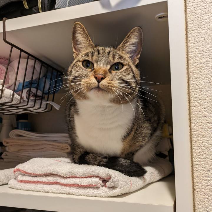 39a4134b 26e6 41df 97c9 5ecda4ef4fd7 1708818996024