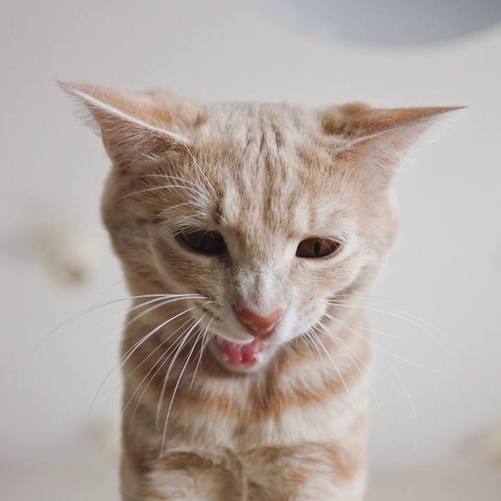 39a44b56 17d0 4ebf 84c2 579dae69d098 1557983407092