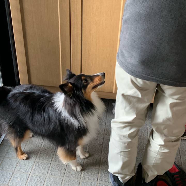 39a44d1b 1cd7 4a6c bbfc 97e4d6b233b2 1554846168170