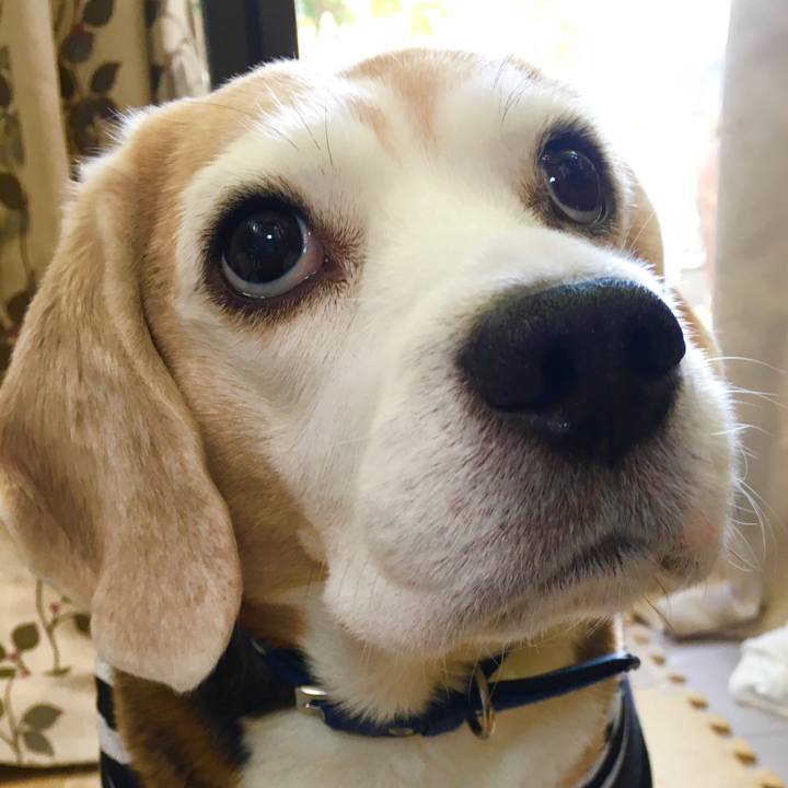 39a47630 fde0 4144 a2be 09df711082a6 1576814099547