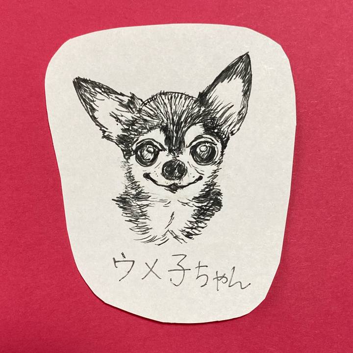 39a495ec 8b83 43aa a8b0 aa3066122c7c 1618804560008