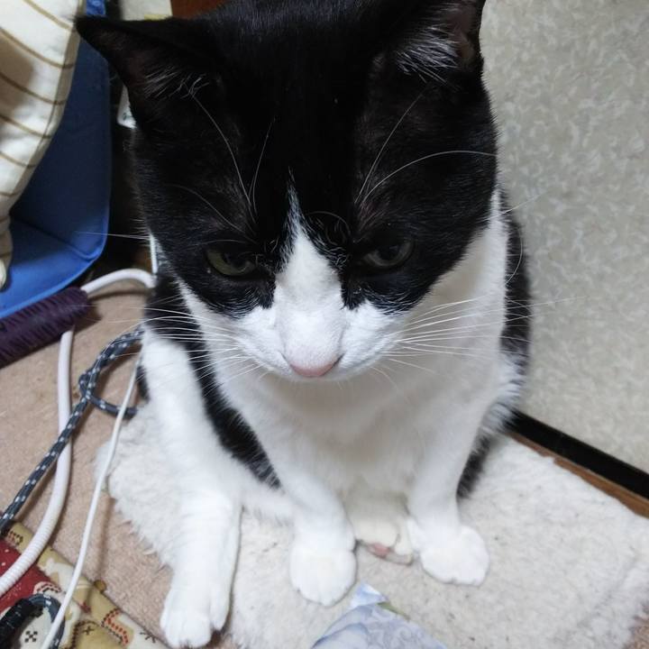 39a4c535 547c 468d ab63 f0f600440085 1557060687505