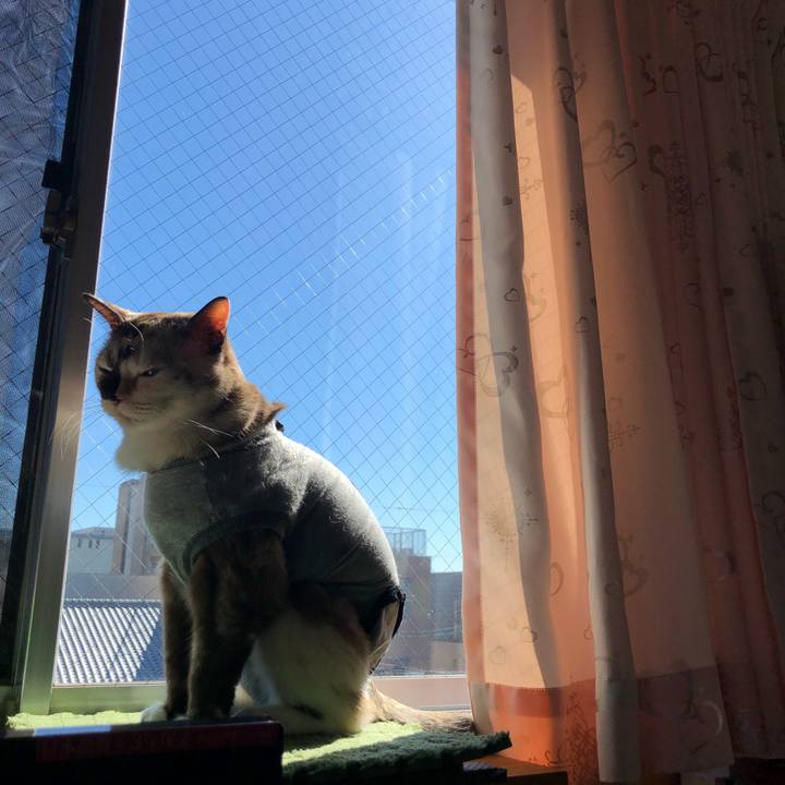 39a55757 4039 445b a55f 81aa6f1ba206 1666192648101