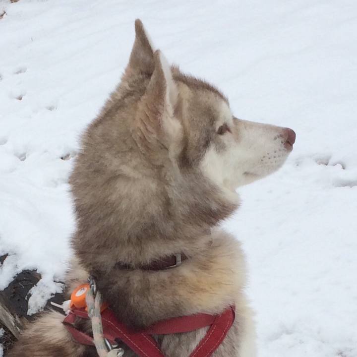 39a590c3 978b 49b2 9929 ae6e98dc4343 1549868912147