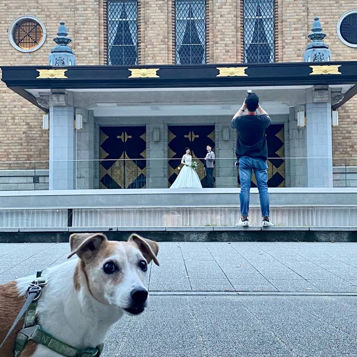 39a5bd38 4a6e 46e5 9d9b e41667d68e1f 1664786439890