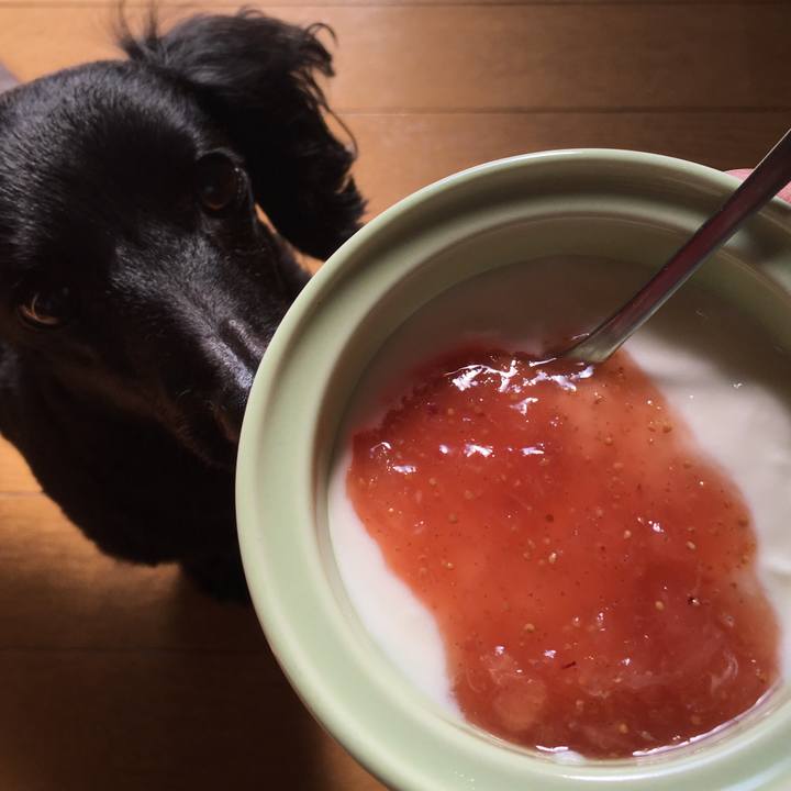 39a5c84b cd49 4754 b96f 01e298e81c0a 1509758096912